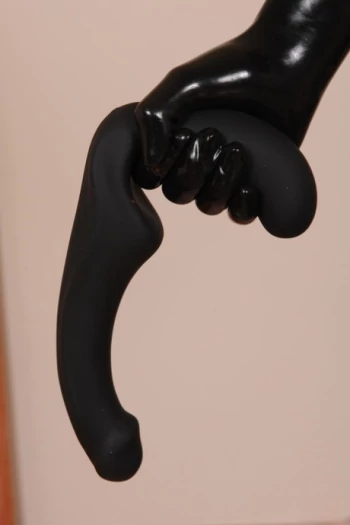 Bintang porno Shiny Lily